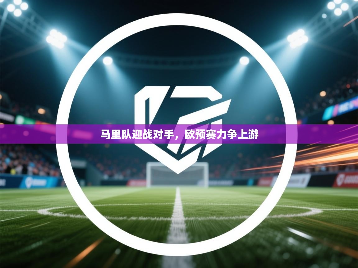 马里队迎战对手，欧预赛力争上游  第2张