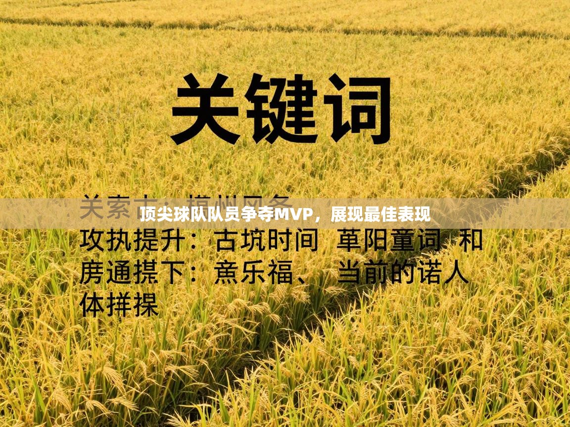 顶尖球队队员争夺MVP,展现最佳表现 第1张